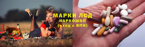 ПСИЛОЦИБИНОВЫЕ ГРИБЫ Волосово