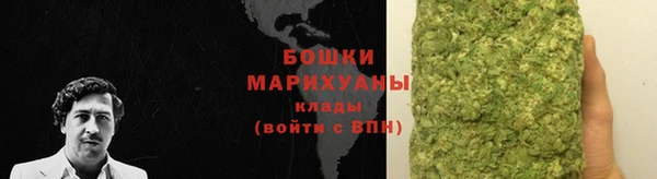 ПСИЛОЦИБИНОВЫЕ ГРИБЫ Волосово