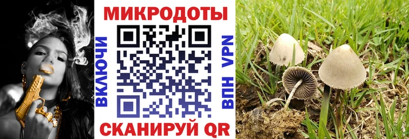 Галлюциногенные грибы мухоморы  Каменногорск 